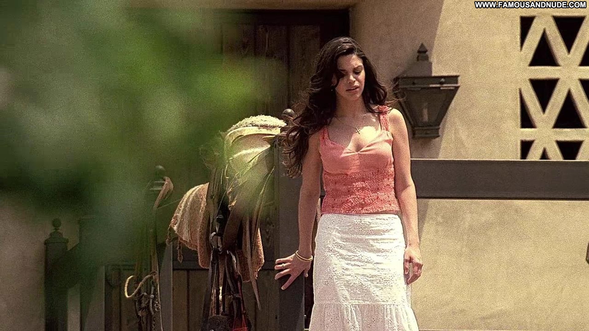 Vanessa Ferlito Fakes